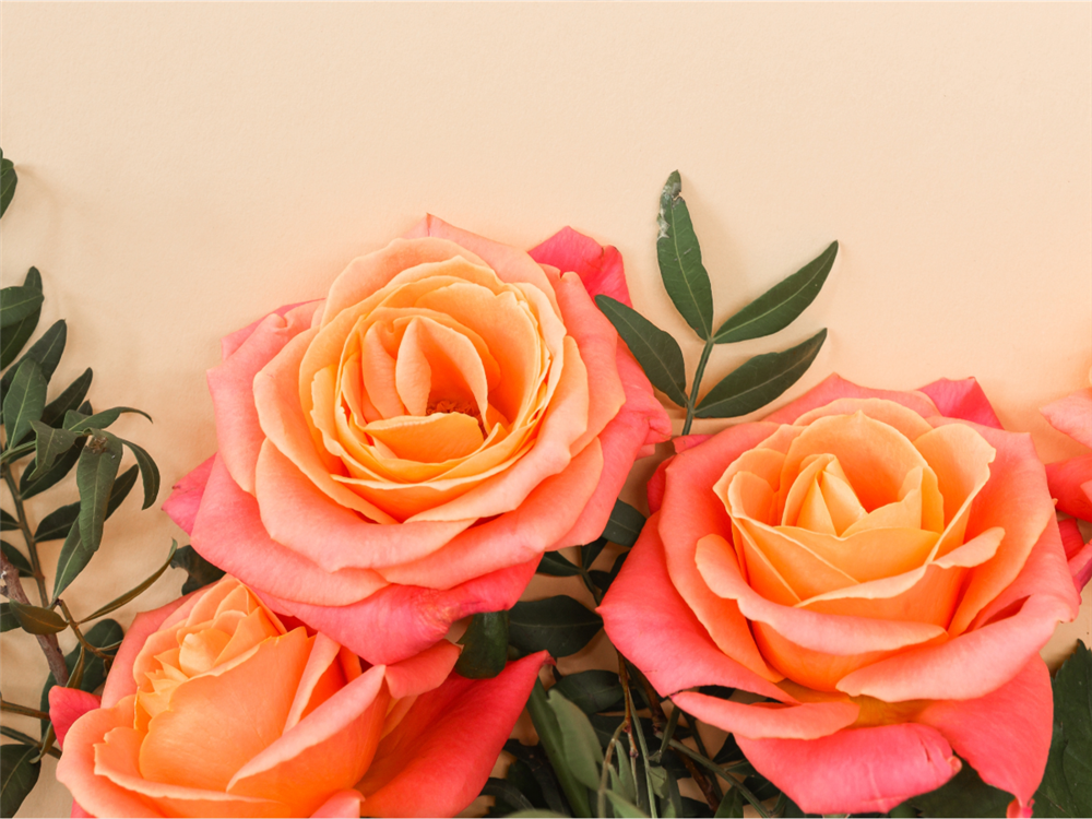 Blog post image